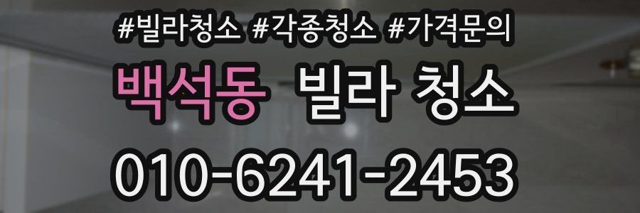 백석동 빌라 청소