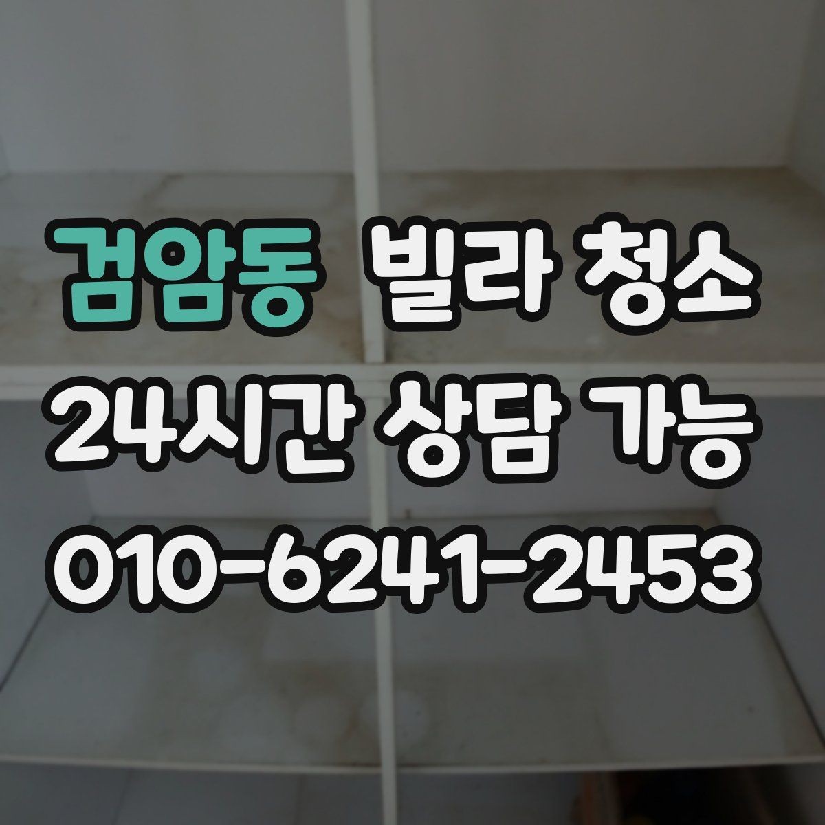 검암동 빌라 청소 반려동물 털이 많을 때 청소 포인트