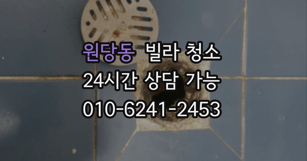 원당동 빌라 청소