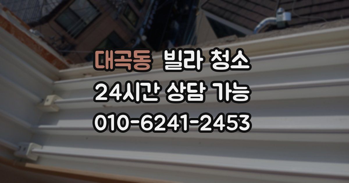 대곡동 빌라 청소