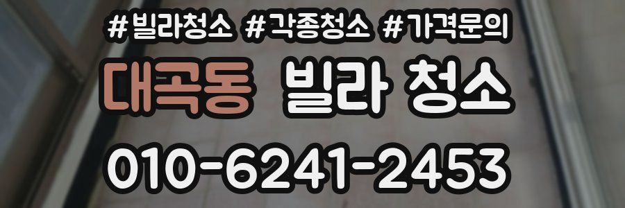 대곡동 빌라 청소