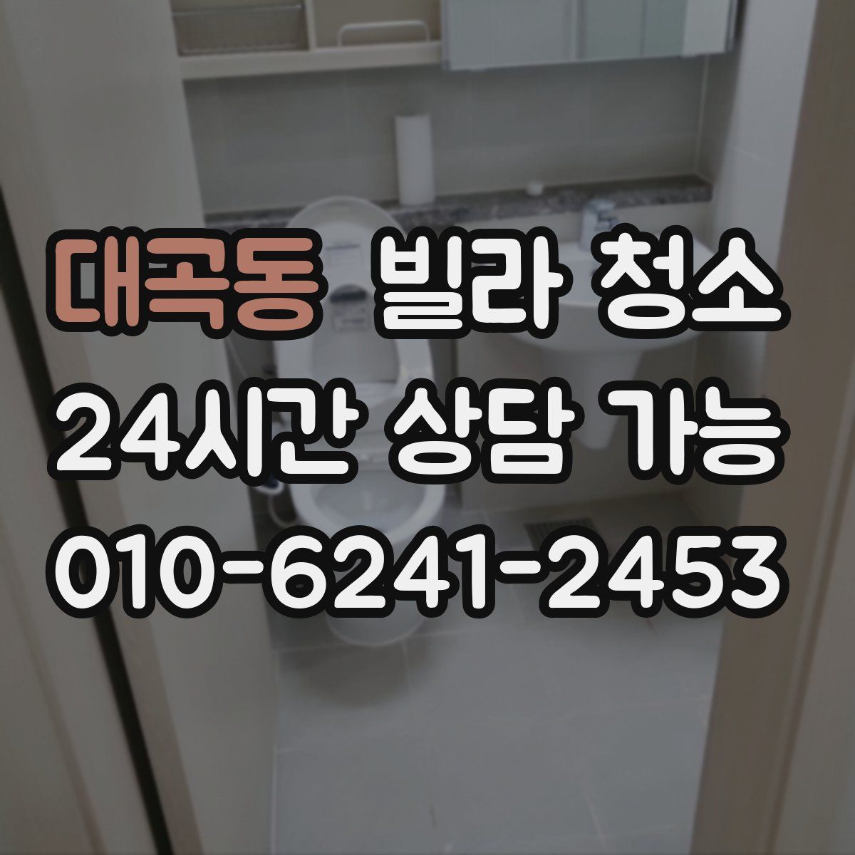 대곡동 빌라 청소