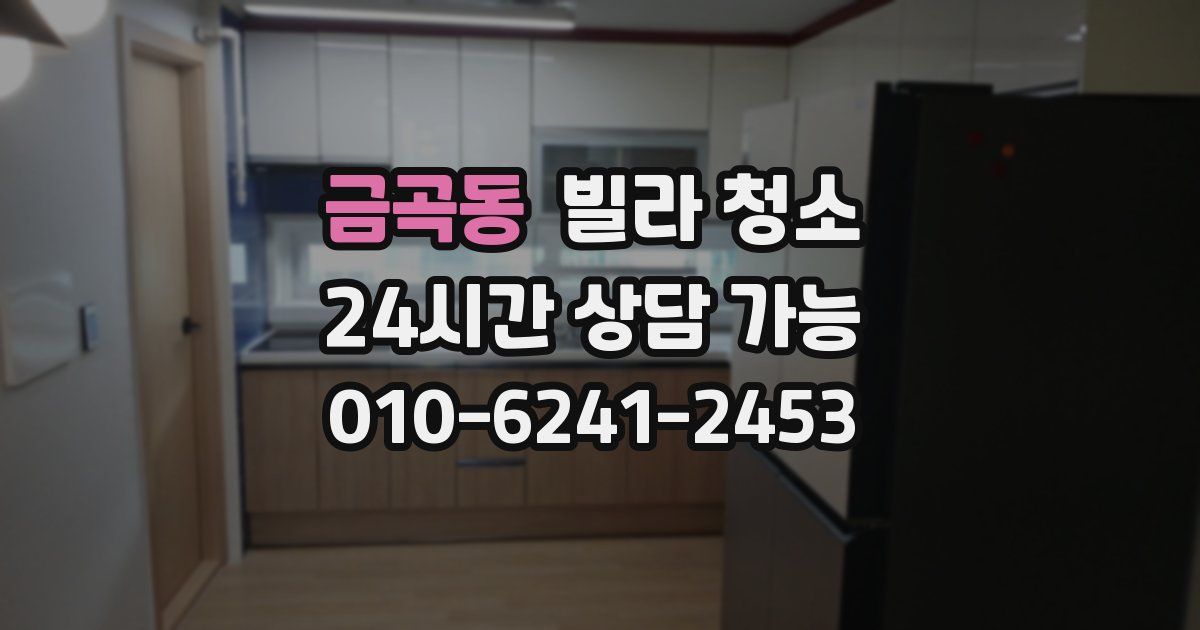 금곡동 빌라 청소