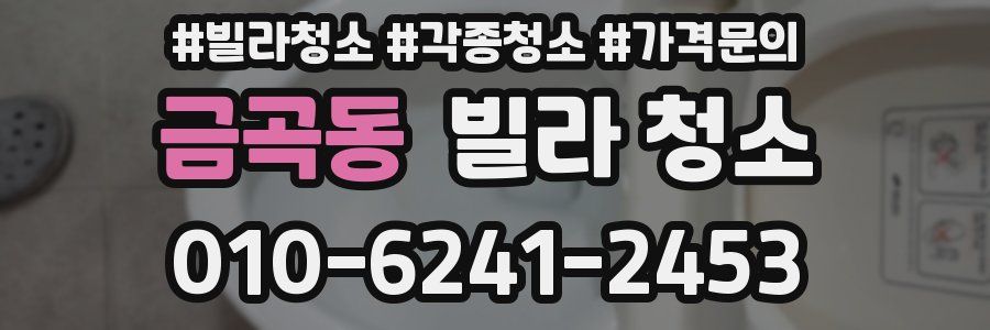 금곡동 빌라 청소