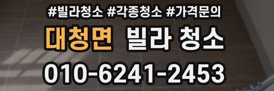 대청면 빌라 청소