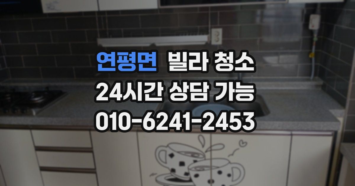 연평면 빌라 청소