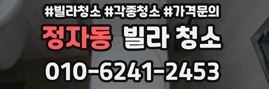 정자동 빌라 청소