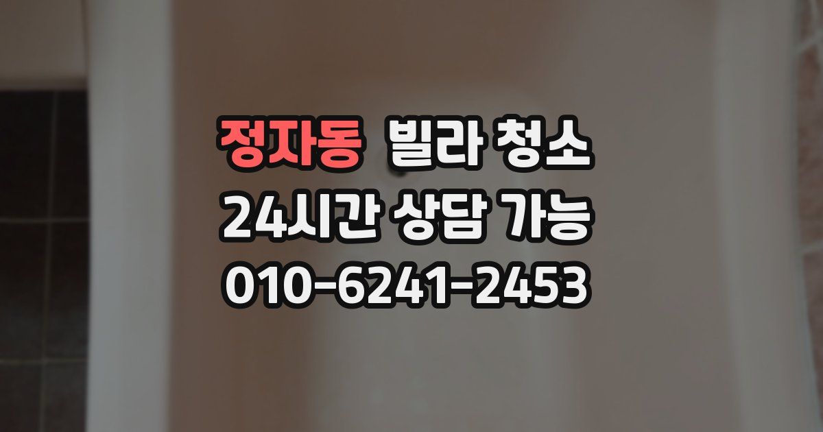 정자동 빌라 청소