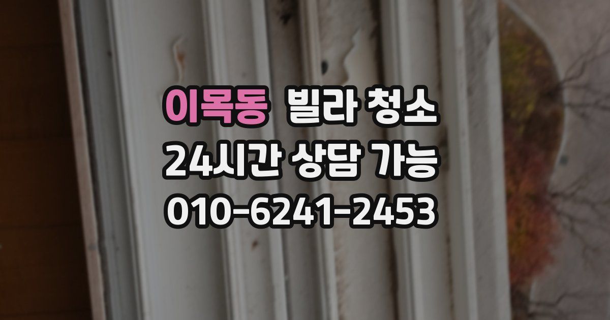 이목동 빌라 청소