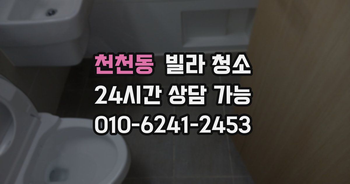 천천동 빌라 청소