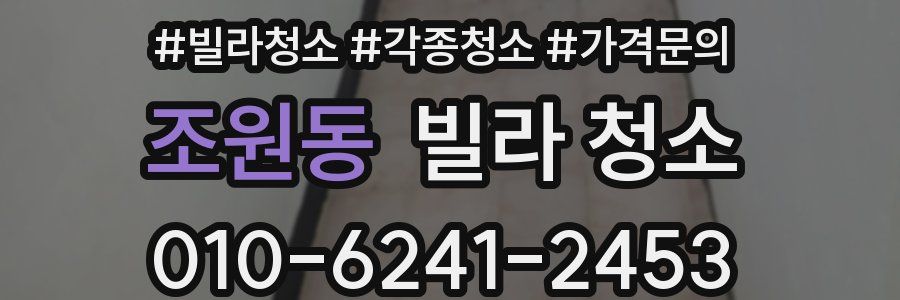 조원동 빌라 청소