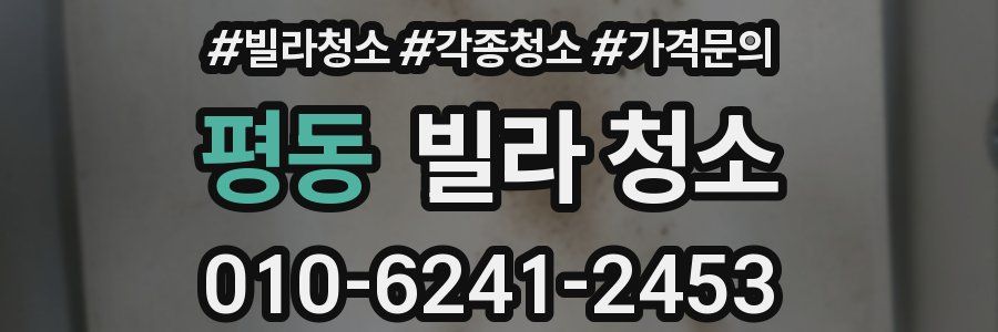 평동 빌라 청소