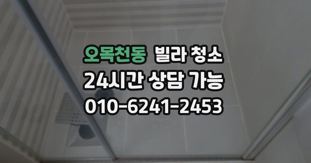 오목천동 빌라 청소