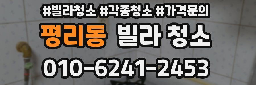 평리동 빌라 청소