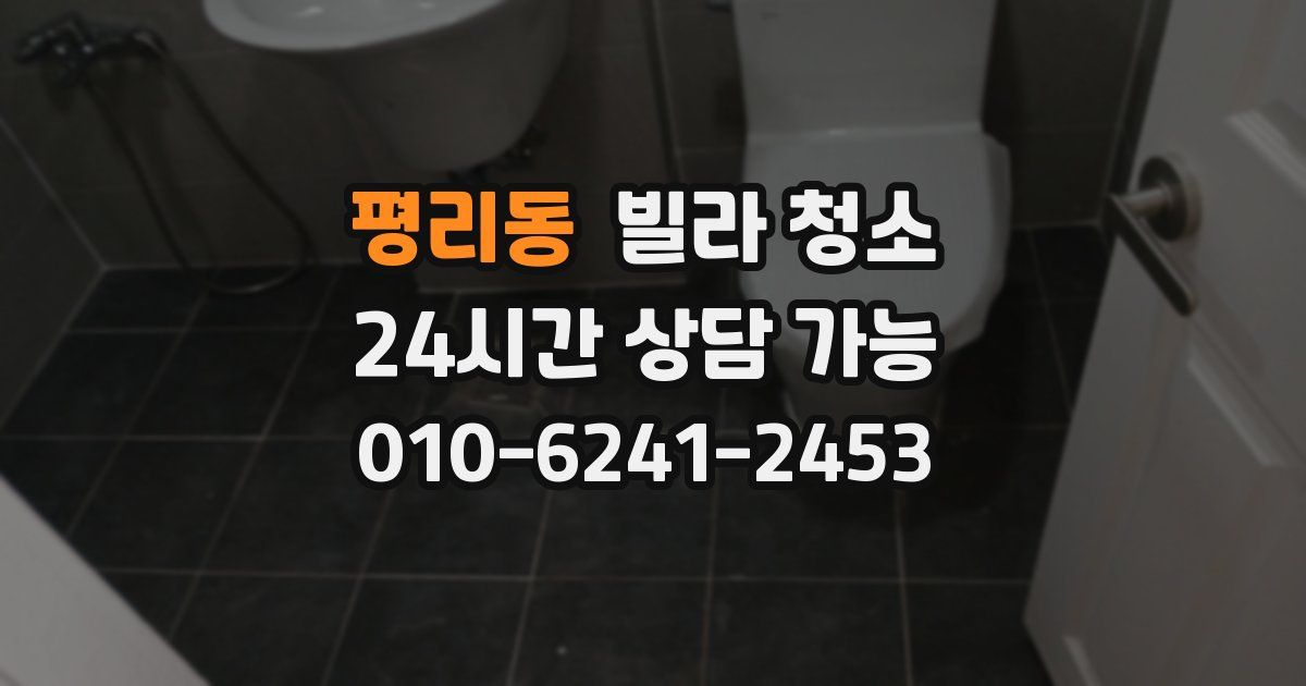 평리동 빌라 청소