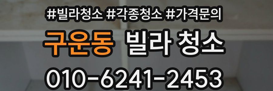 구운동 빌라 청소