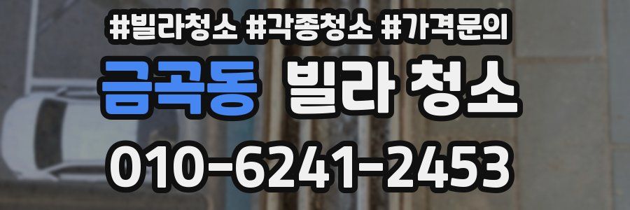 금곡동 빌라 청소