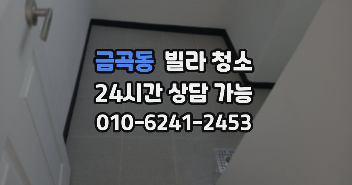 금곡동 빌라 청소