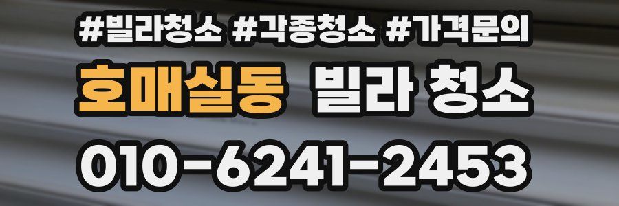 호매실동 빌라 청소