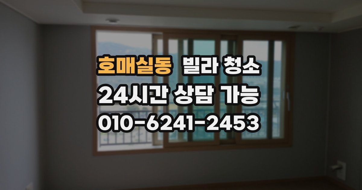 호매실동 빌라 청소