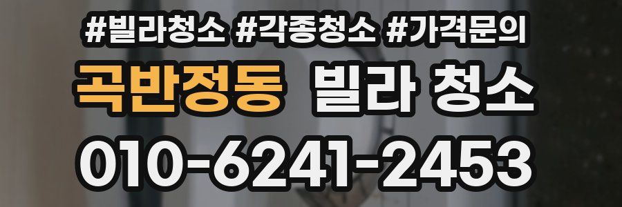 곡반정동 빌라 청소