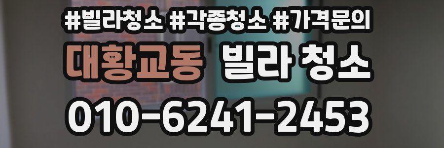 대황교동 빌라 청소