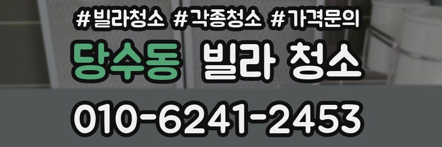 당수동 빌라 청소