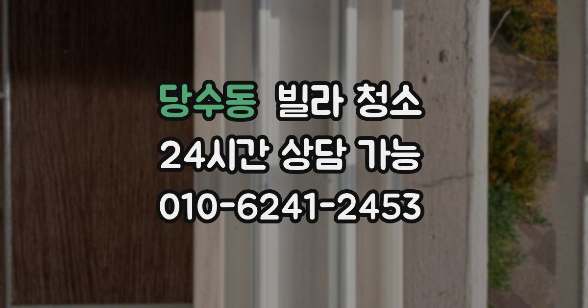 당수동 빌라 청소