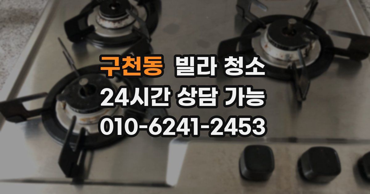 구천동 빌라 청소