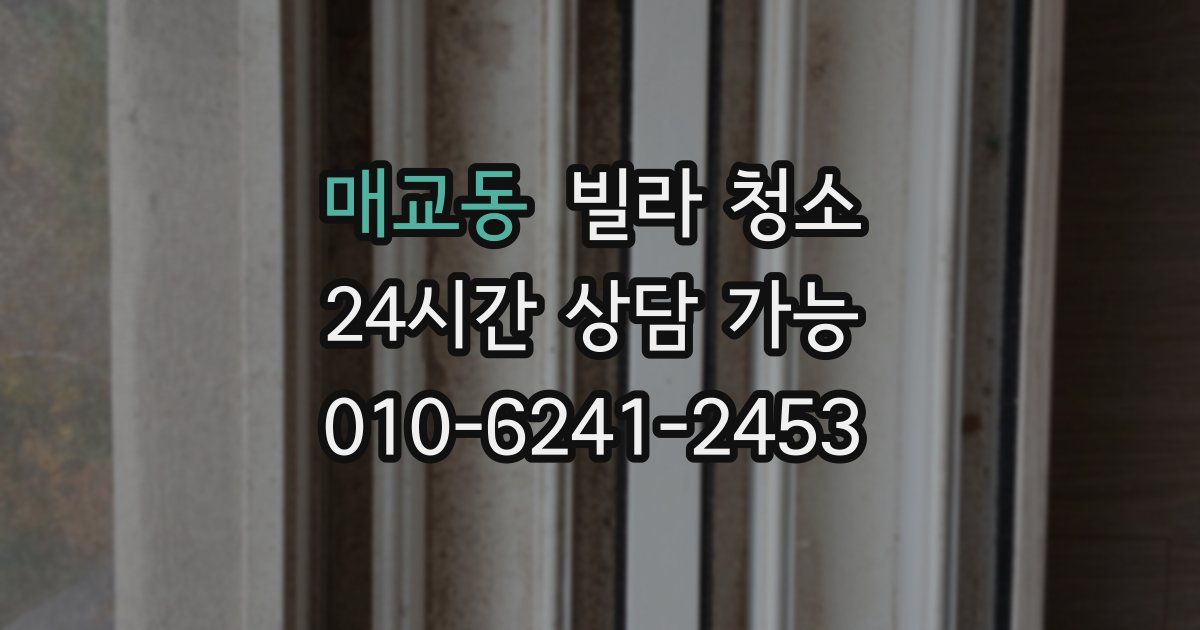 매교동 빌라 청소