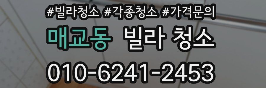 매교동 빌라 청소