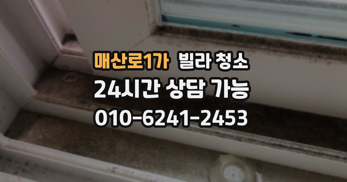 매산로1가 빌라 청소