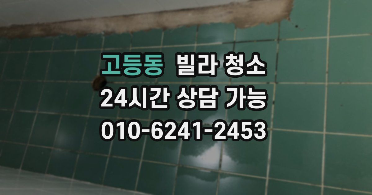 고등동 빌라 청소