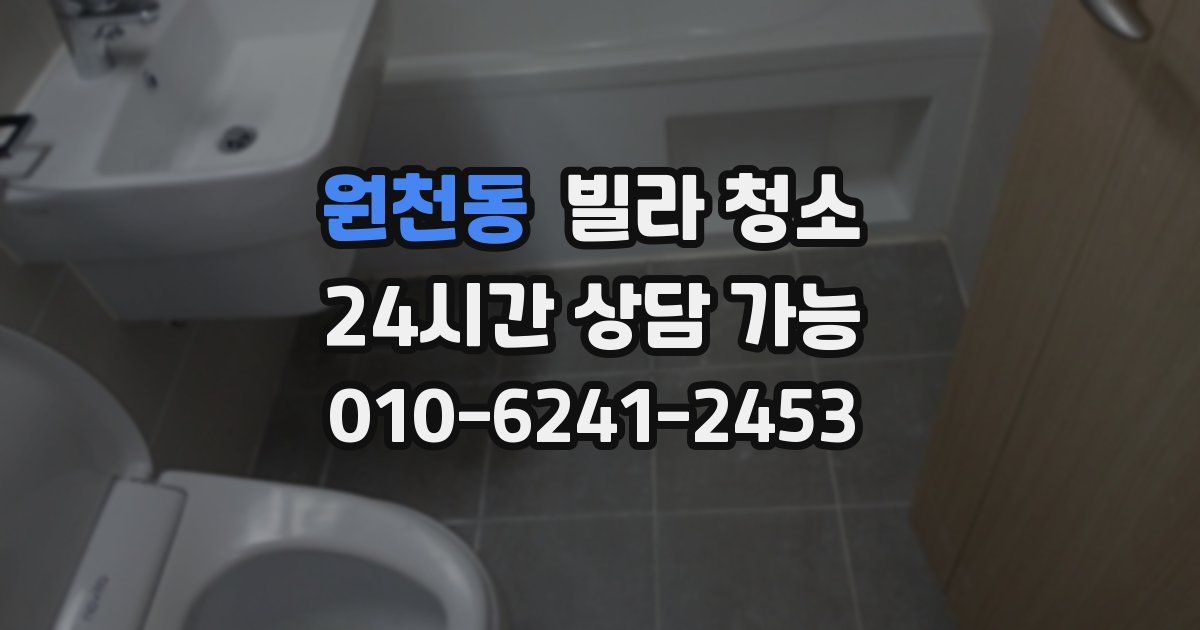 원천동 빌라 청소