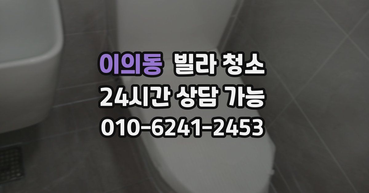 이의동 빌라 청소