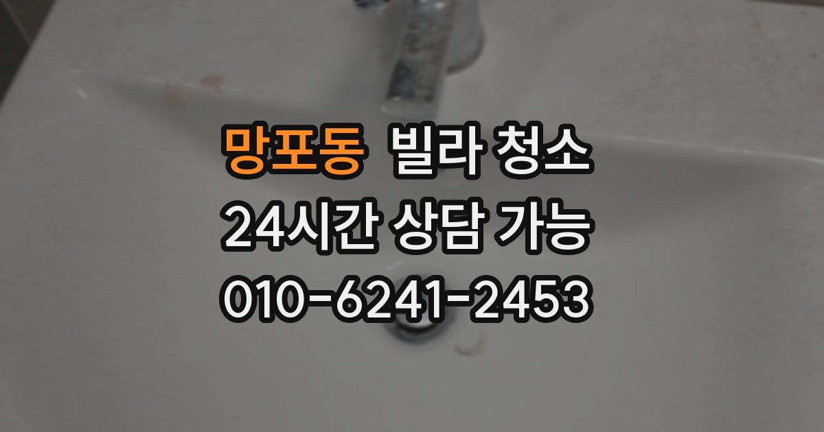 망포동 빌라 청소