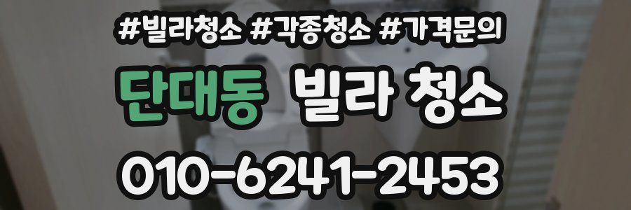 단대동 빌라 청소