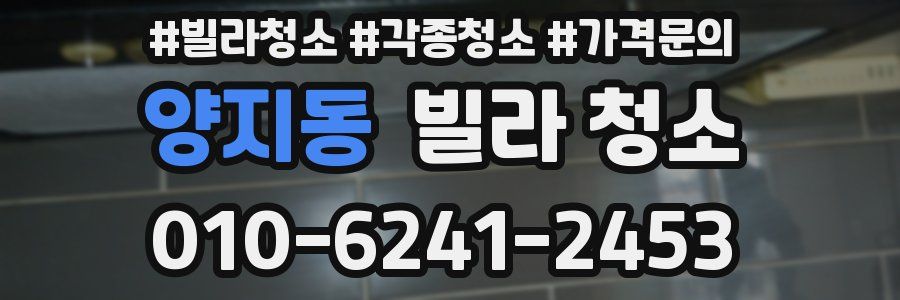 양지동 빌라 청소