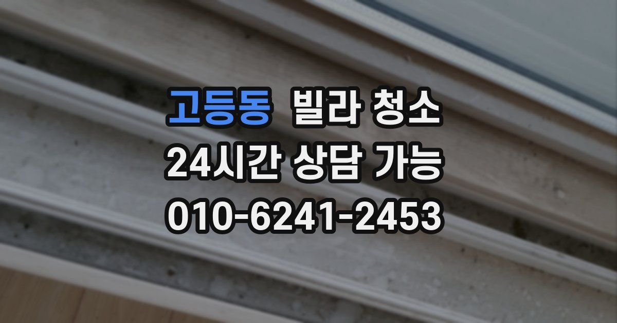 고등동 빌라 청소