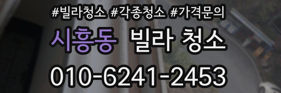 시흥동 빌라 청소