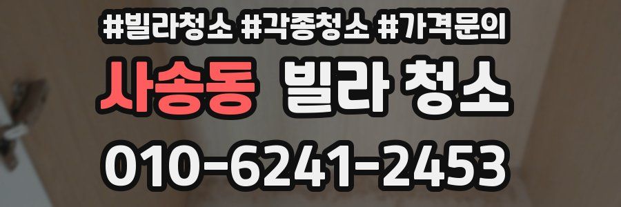 사송동 빌라 청소