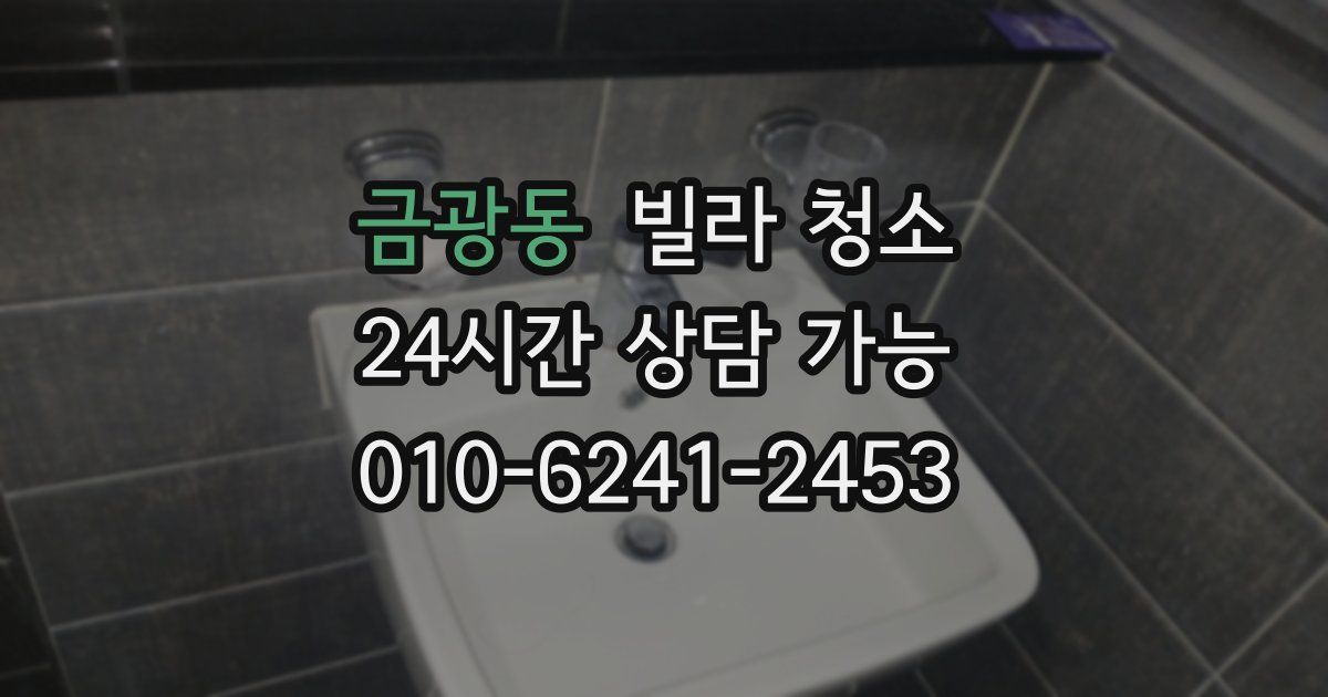 금광동 빌라 청소