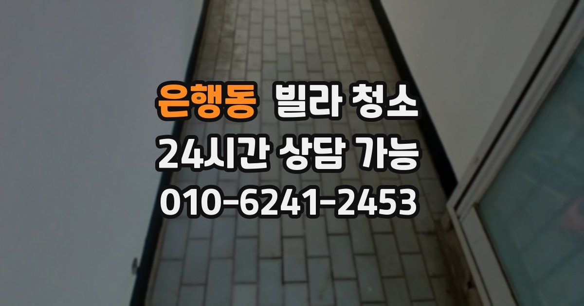 은행동 빌라 청소