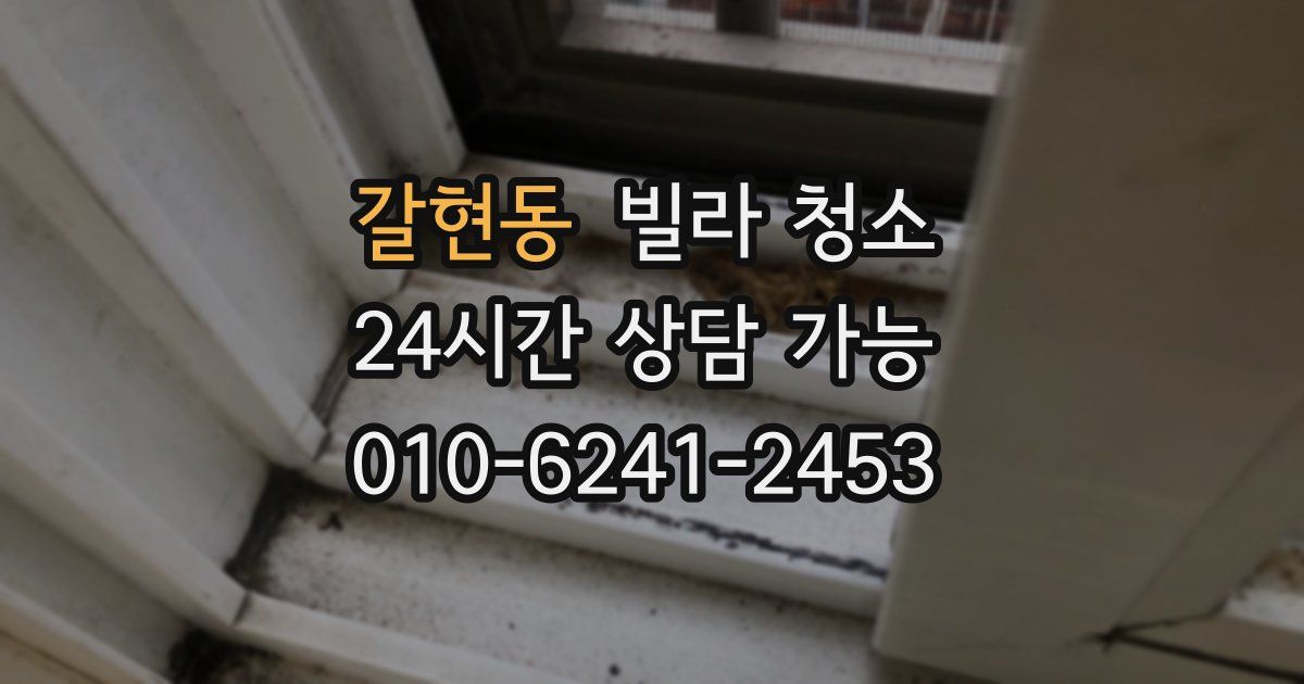 갈현동 빌라 청소