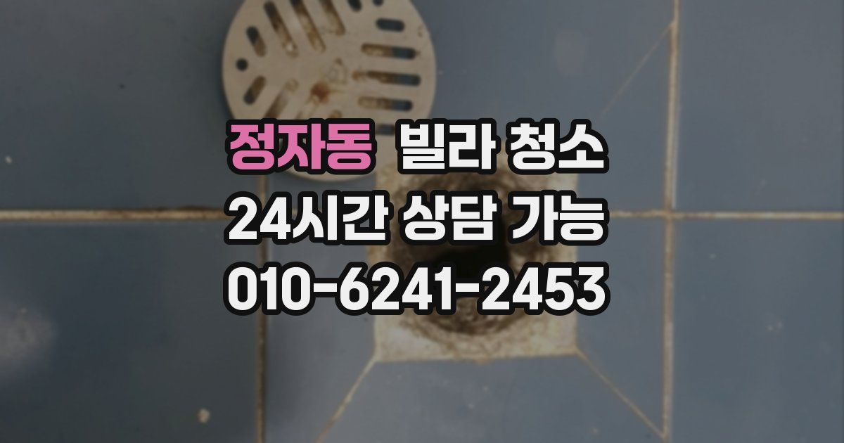 정자동 빌라 청소