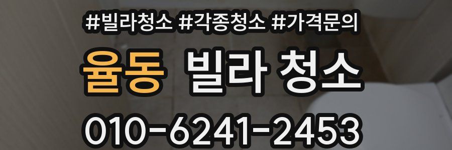 율동 빌라 청소