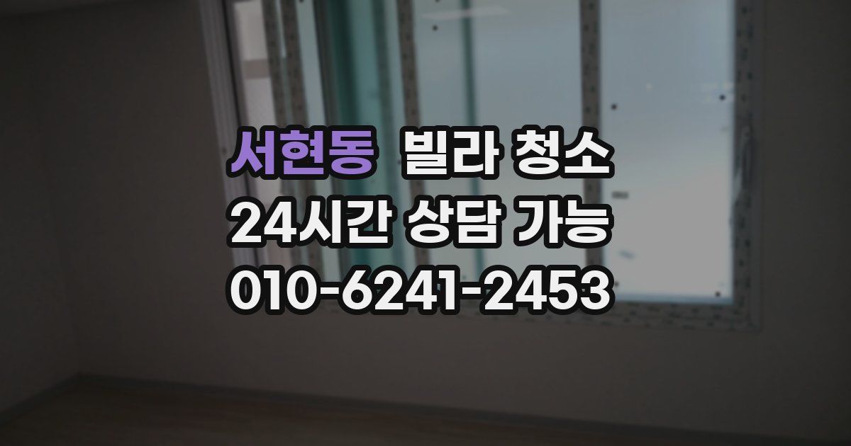 서현동 빌라 청소