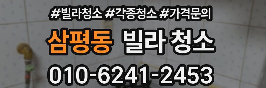 삼평동 빌라 청소