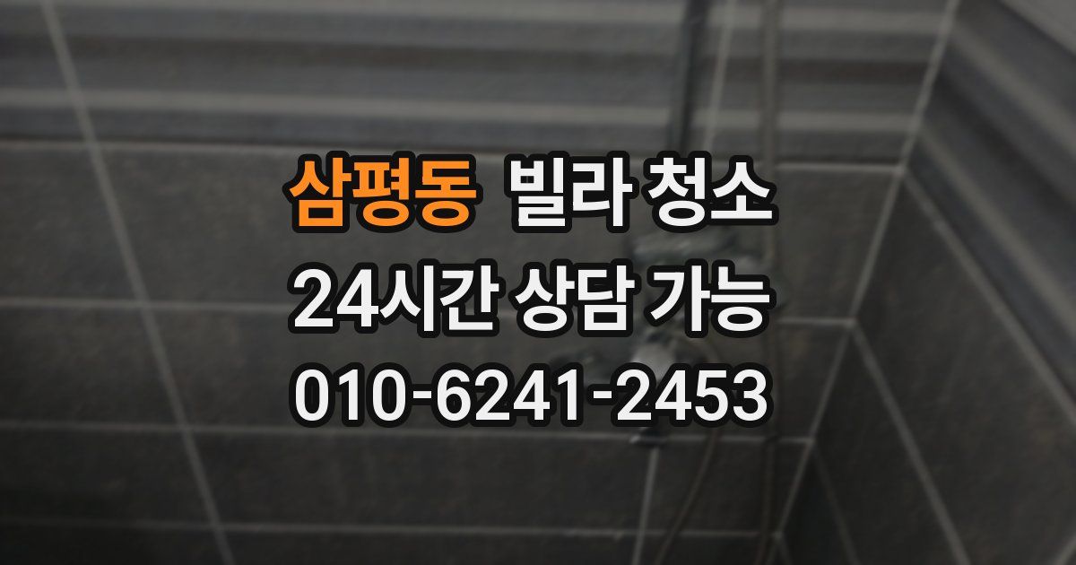 삼평동 빌라 청소