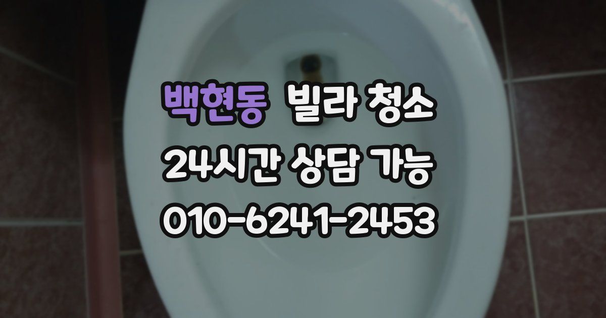 백현동 빌라 청소